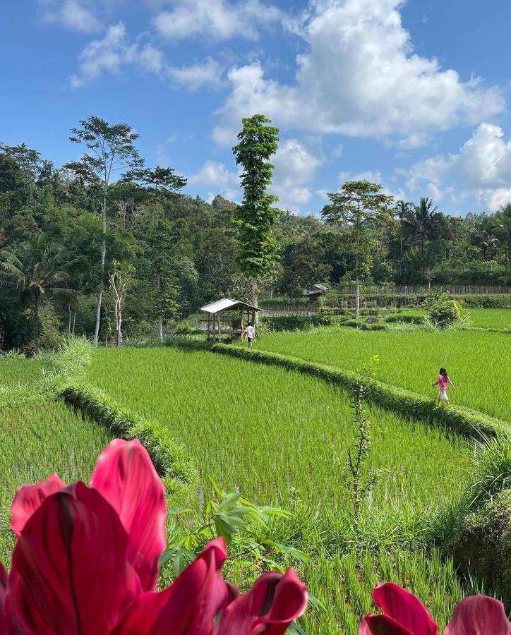 Tetebatu Mountain View Homestay Exterior photo
