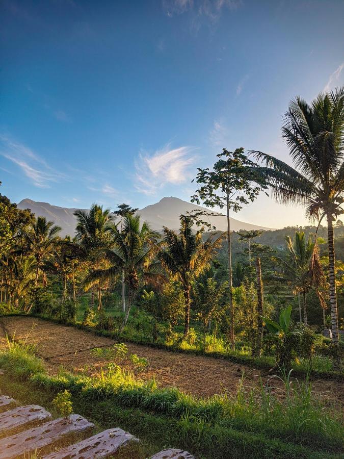 Tetebatu Mountain View Homestay Exterior photo